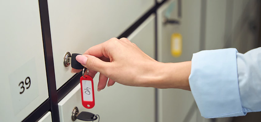 Cabinet Lock Installation in Oasis, California